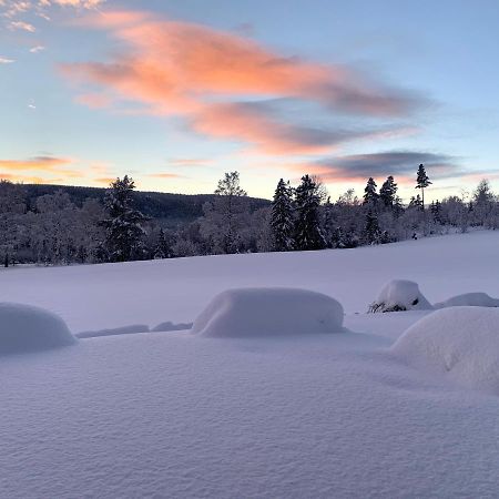 Eika Cottage: Cozy, Rural, Spacious And Well-Equiped Amot (Buskerud) Exterior foto