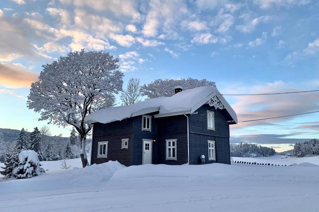Eika Cottage: Cozy, Rural, Spacious And Well-Equiped Amot (Buskerud) Exterior foto