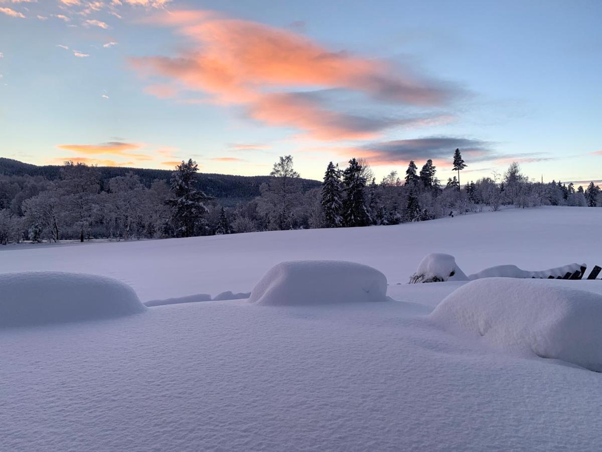 Eika Cottage: Cozy, Rural, Spacious And Well-Equiped Amot (Buskerud) Exterior foto